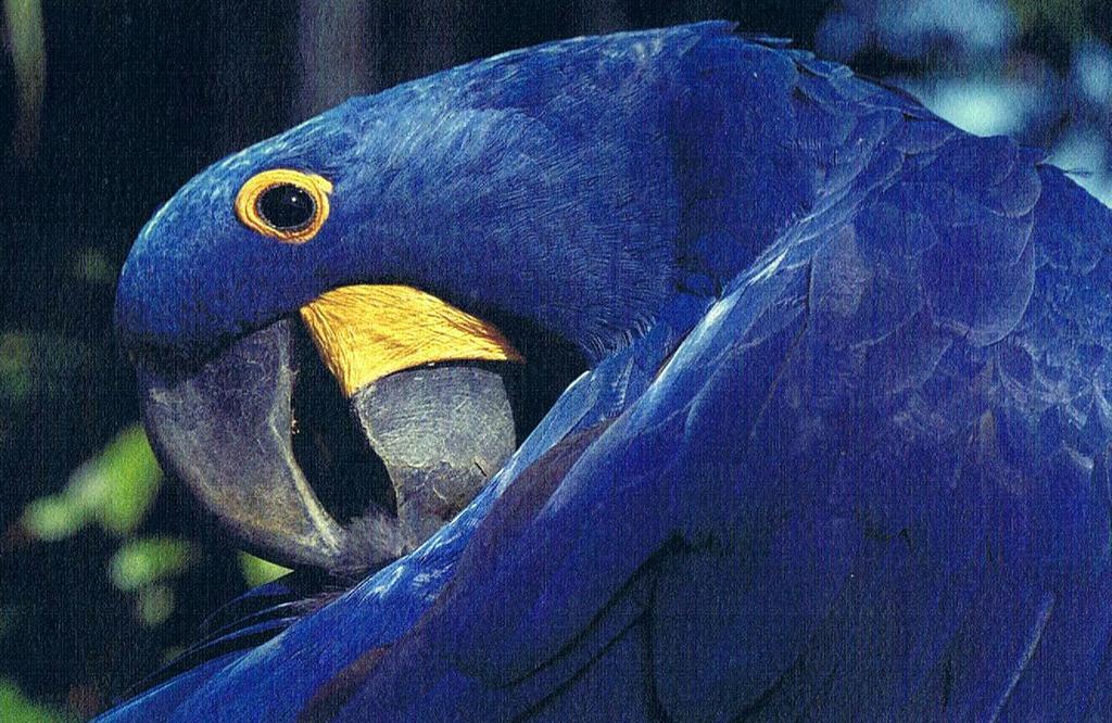 Cataguas Brasil Pousada Carrancas Eksteriør bilde