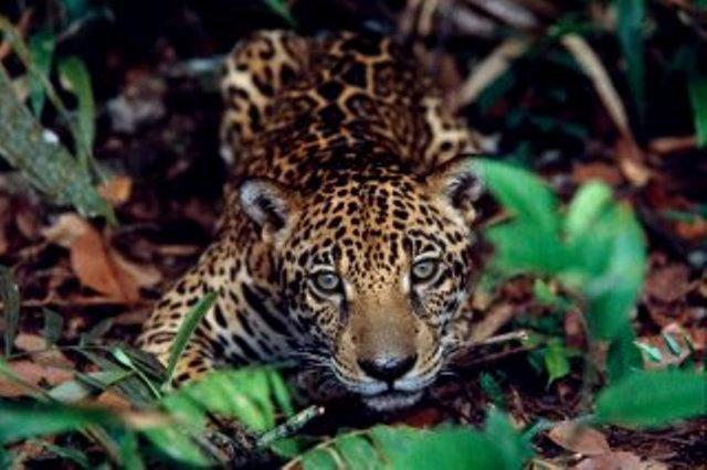 Cataguas Brasil Pousada Carrancas Eksteriør bilde